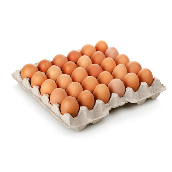 Plateau 30 œufs