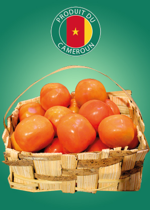 Tomates (prix au kilo)
