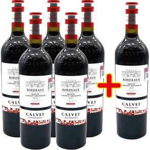 Classique Bordeaux rouge CALVET 75 cl (le carton de 6)