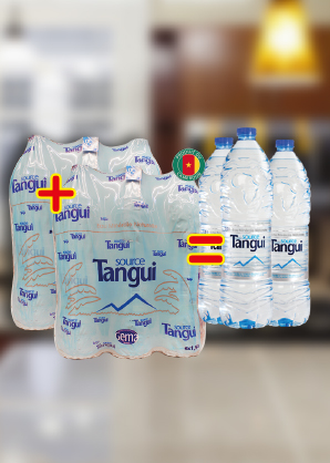 Pack d’eau minérale Tangui (6×1,5 L)