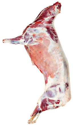Viande de mouton (Prix au kilo)