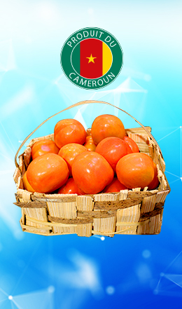 Tomate locales (au kilo)