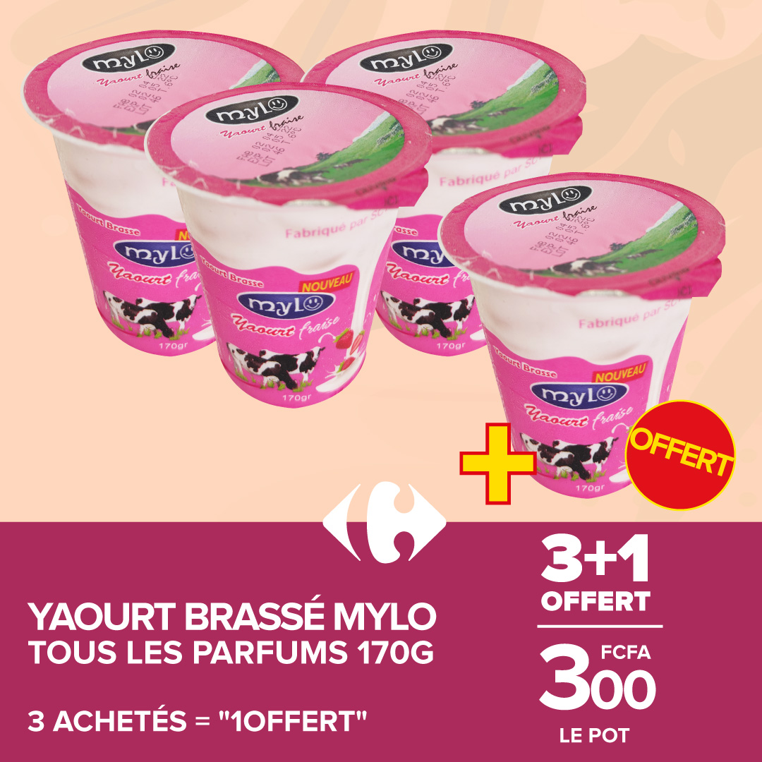 YAOURT BRASSÉ MYLO- TOUS LES PARFUMS- 3+1 OFFERT
